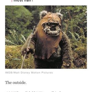 Meet your Posher, Patrick